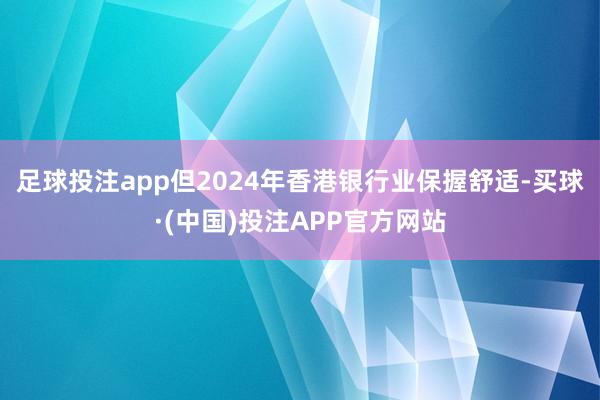 足球投注app但2024年香港银行业保握舒适-买球·(中国)投注APP官方网站