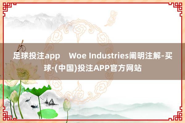 足球投注app    Woe Industries阐明注解-买球·(中国)投注APP官方网站