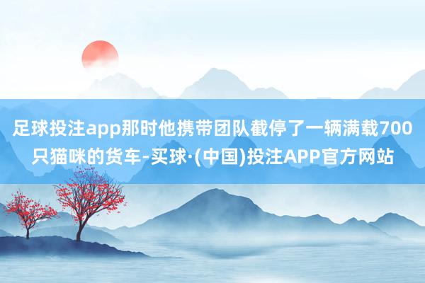 足球投注app那时他携带团队截停了一辆满载700只猫咪的货车-买球·(中国)投注APP官方网站