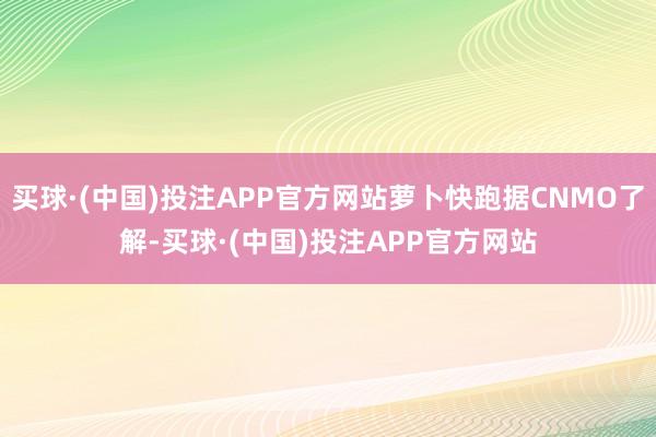 买球·(中国)投注APP官方网站萝卜快跑据CNMO了解-买球·(中国)投注APP官方网站