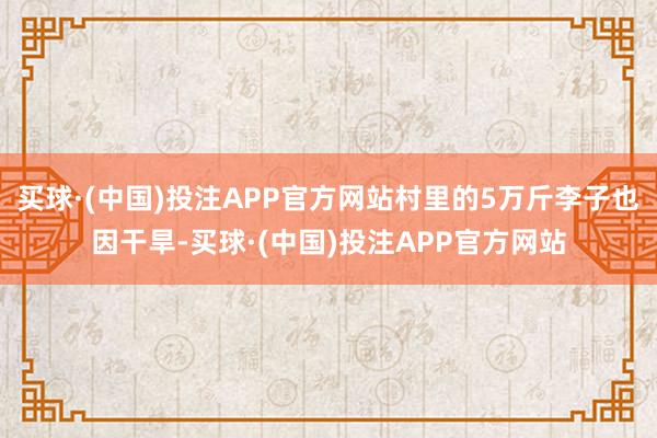 买球·(中国)投注APP官方网站村里的5万斤李子也因干旱-买球·(中国)投注APP官方网站