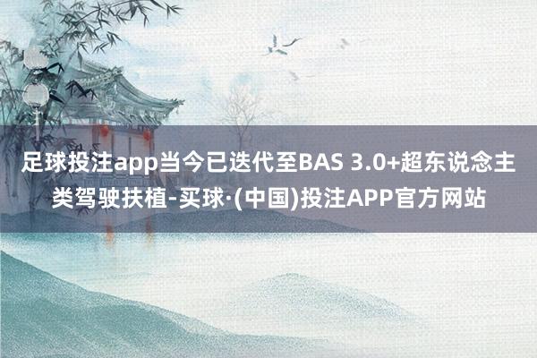 足球投注app当今已迭代至BAS 3.0+超东说念主类驾驶扶植-买球·(中国)投注APP官方网站