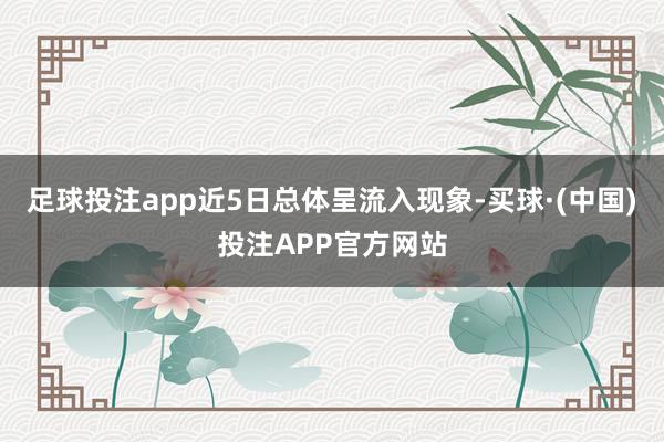 足球投注app近5日总体呈流入现象-买球·(中国)投注APP官方网站