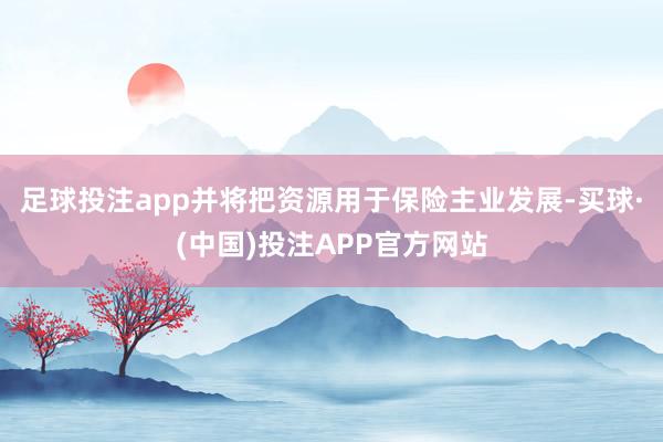 足球投注app并将把资源用于保险主业发展-买球·(中国)投注APP官方网站
