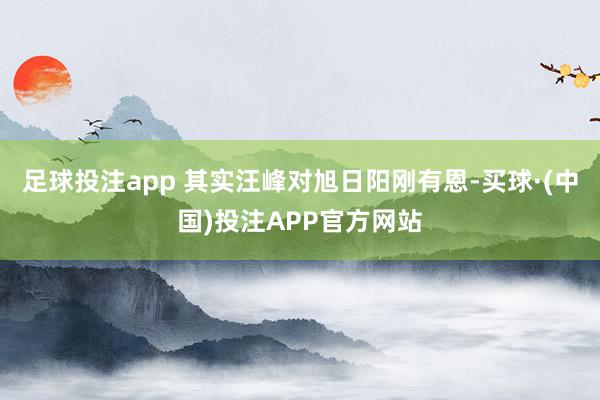 足球投注app 其实汪峰对旭日阳刚有恩-买球·(中国)投注APP官方网站