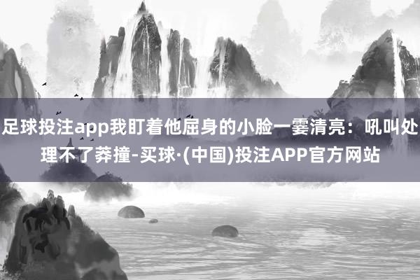 足球投注app我盯着他屈身的小脸一霎清亮：吼叫处理不了莽撞-买球·(中国)投注APP官方网站
