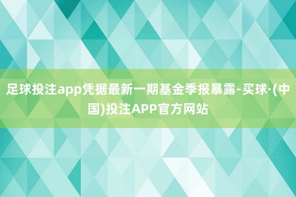 足球投注app凭据最新一期基金季报暴露-买球·(中国)投注APP官方网站