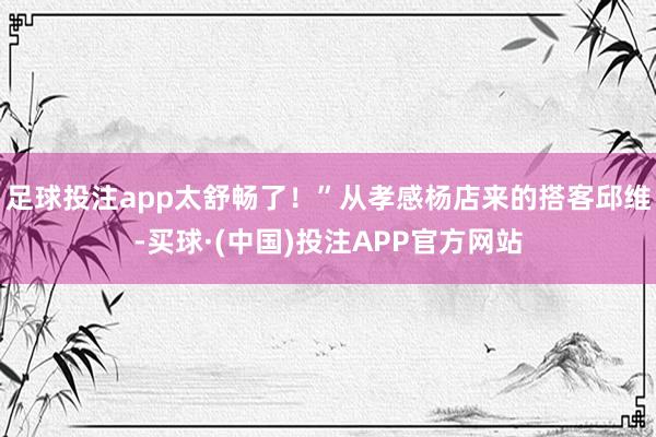 足球投注app太舒畅了！”从孝感杨店来的搭客邱维-买球·(中国)投注APP官方网站