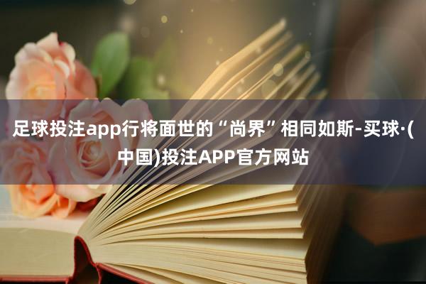足球投注app行将面世的“尚界”相同如斯-买球·(中国)投注APP官方网站
