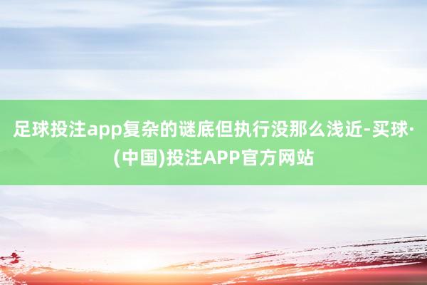 足球投注app复杂的谜底但执行没那么浅近-买球·(中国)投注APP官方网站