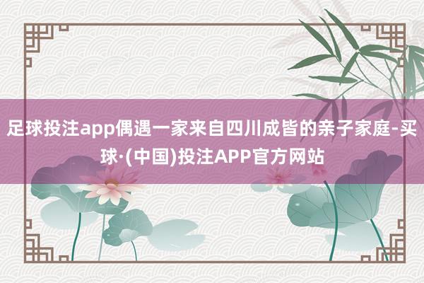 足球投注app偶遇一家来自四川成皆的亲子家庭-买球·(中国)投注APP官方网站