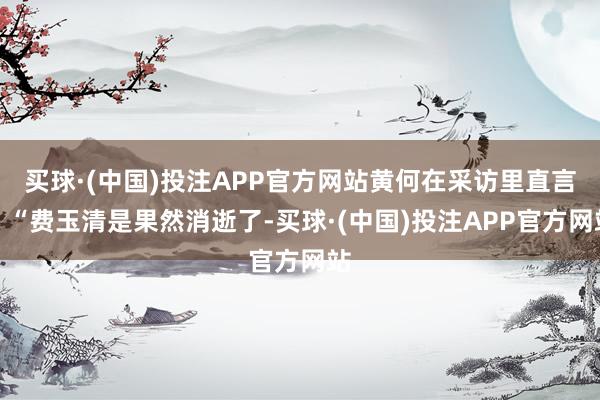 买球·(中国)投注APP官方网站黄何在采访里直言：“费玉清是果然消逝了-买球·(中国)投注APP官方网站