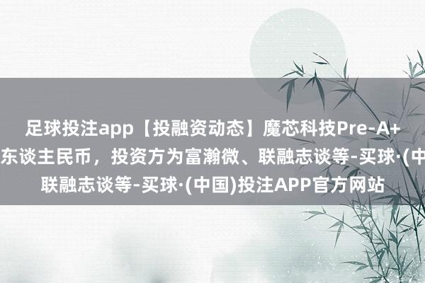 足球投注app【投融资动态】魔芯科技Pre-A++轮融资，融资额近亿东谈主民币，投资方为富瀚微、联融志谈等-买球·(中国)投注APP官方网站