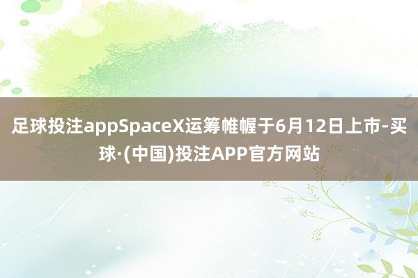 足球投注appSpaceX运筹帷幄于6月12日上市-买球·(中国)投注APP官方网站