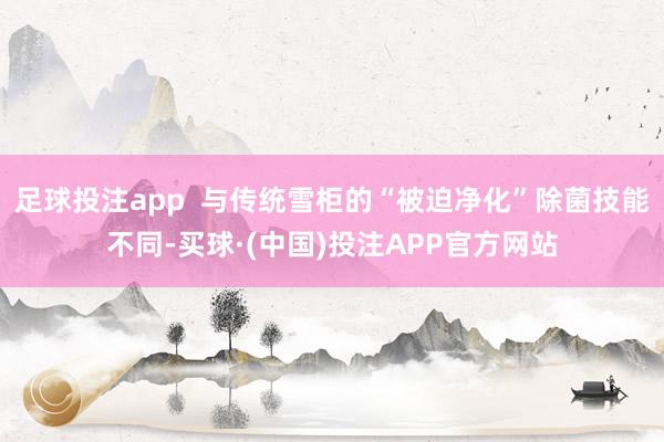 足球投注app  与传统雪柜的“被迫净化”除菌技能不同-买球·(中国)投注APP官方网站